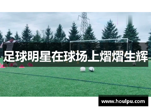足球明星在球场上熠熠生辉
